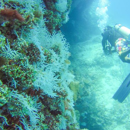 Remora Inn Faafu Atoll Bagian luar foto