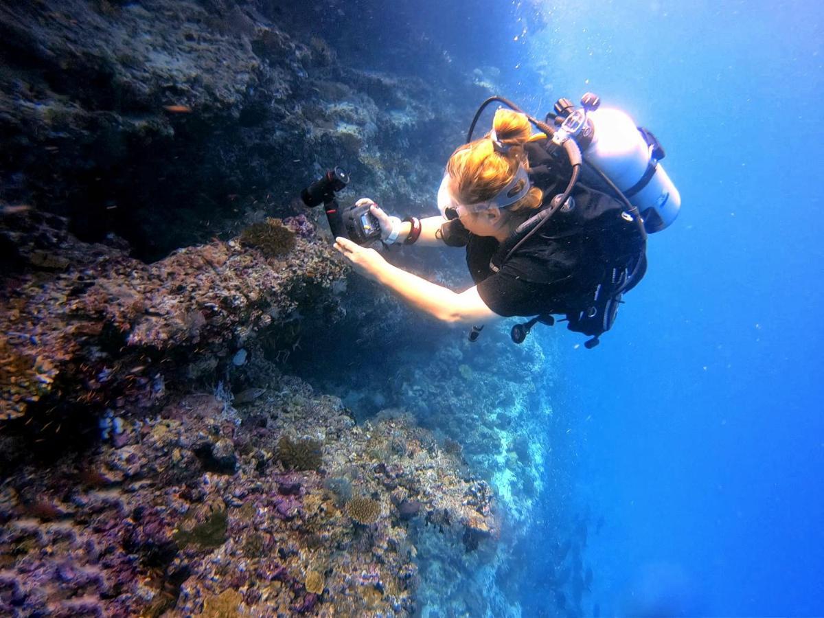 Remora Inn Faafu Atoll Bagian luar foto