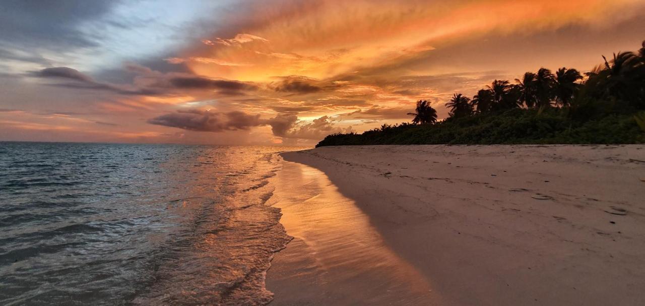 Remora Inn Faafu Atoll Bagian luar foto