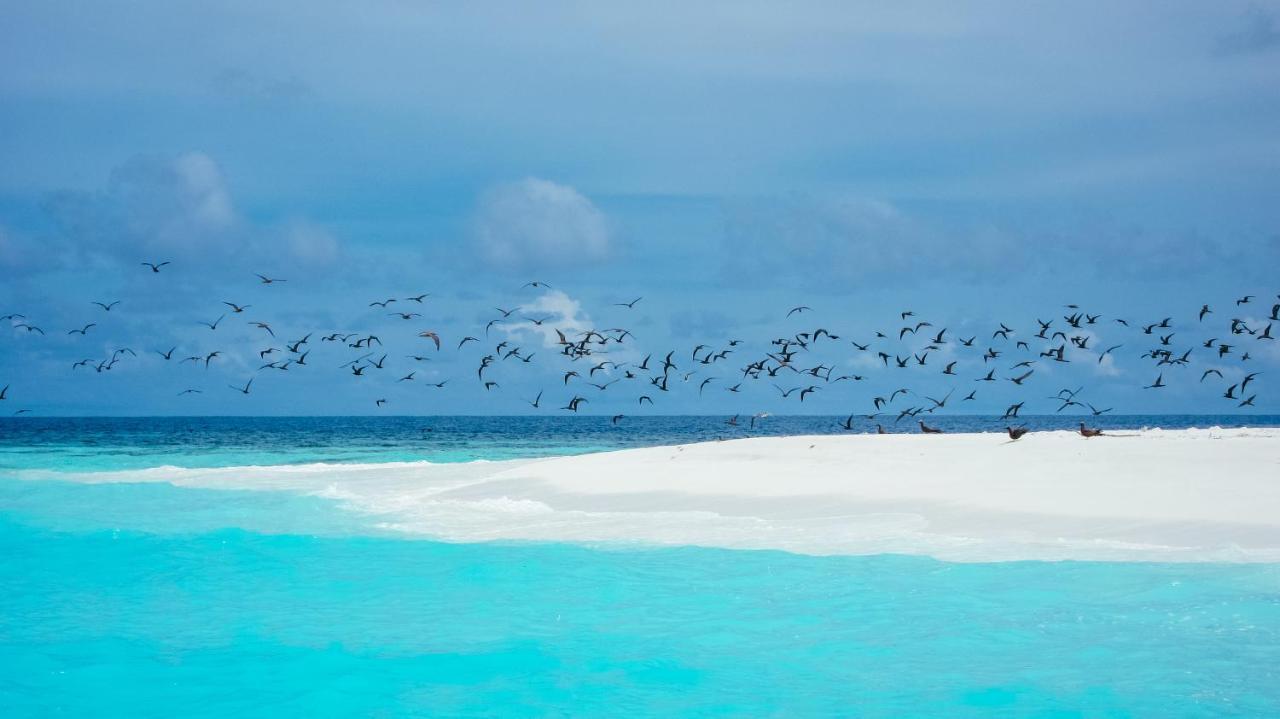 Remora Inn Faafu Atoll Bagian luar foto