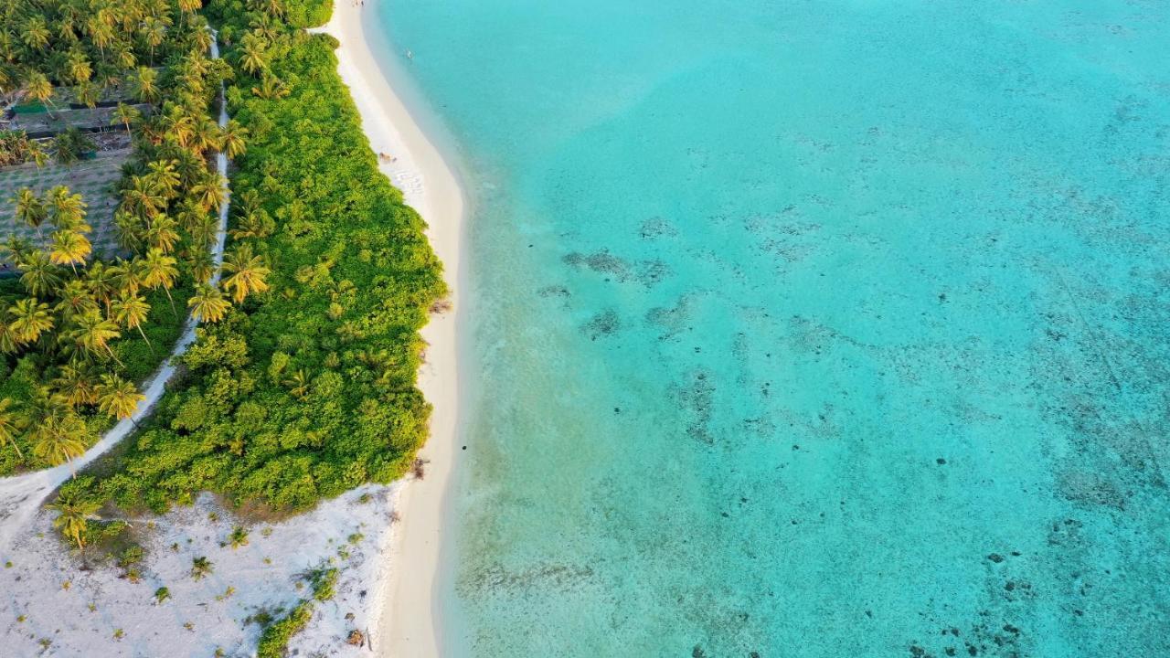 Remora Inn Faafu Atoll Bagian luar foto