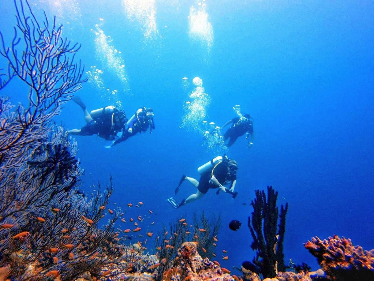 Remora Inn Faafu Atoll Bagian luar foto