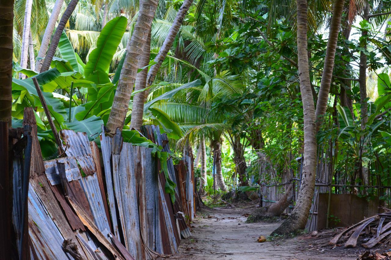 Remora Inn Faafu Atoll Bagian luar foto